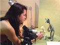 Stop Motion Animation
